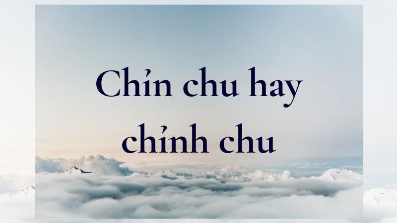 Chỉn chu hay Chỉnh chu