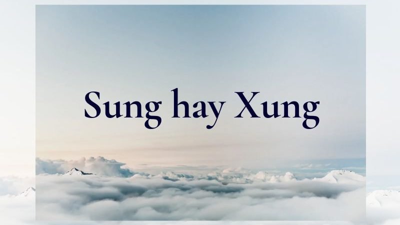 Sung hay Xung