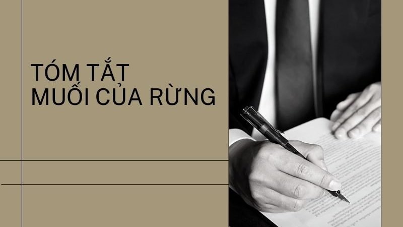 Tóm Tắt Muối Của Rừng