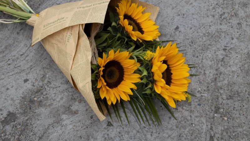 Ý nghĩa của hoa hướng dương trong tình yêu