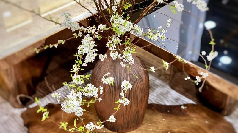 Tìm hiểu ý nghĩa và nguồn gốc hoa tuyết mai