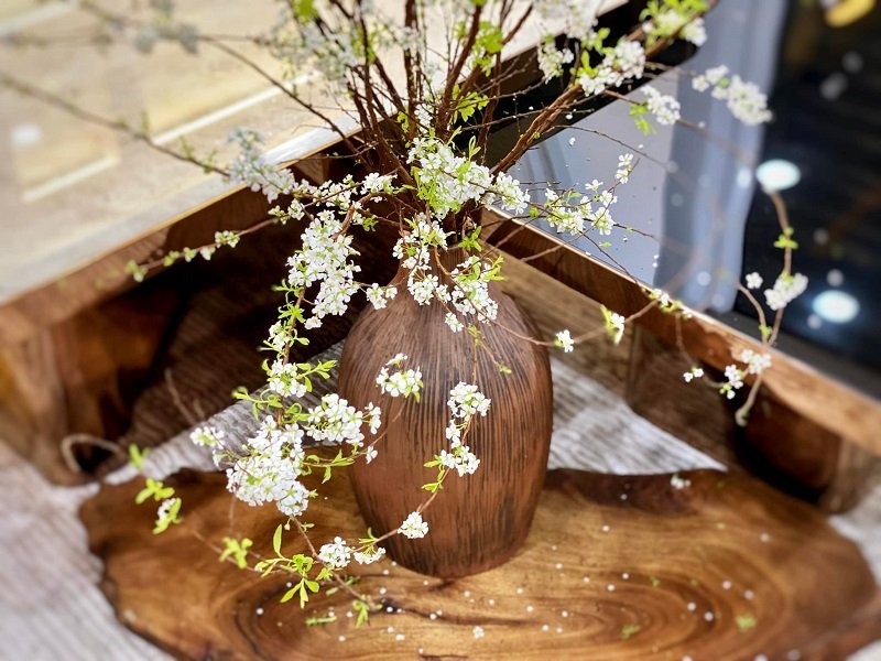 Đặc điểm và phân loại hoa tuyết mai