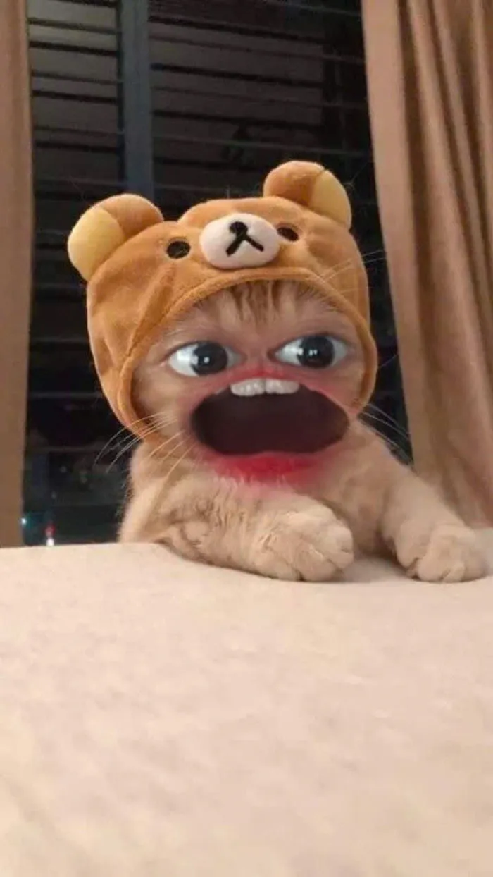 ảnh avata hài