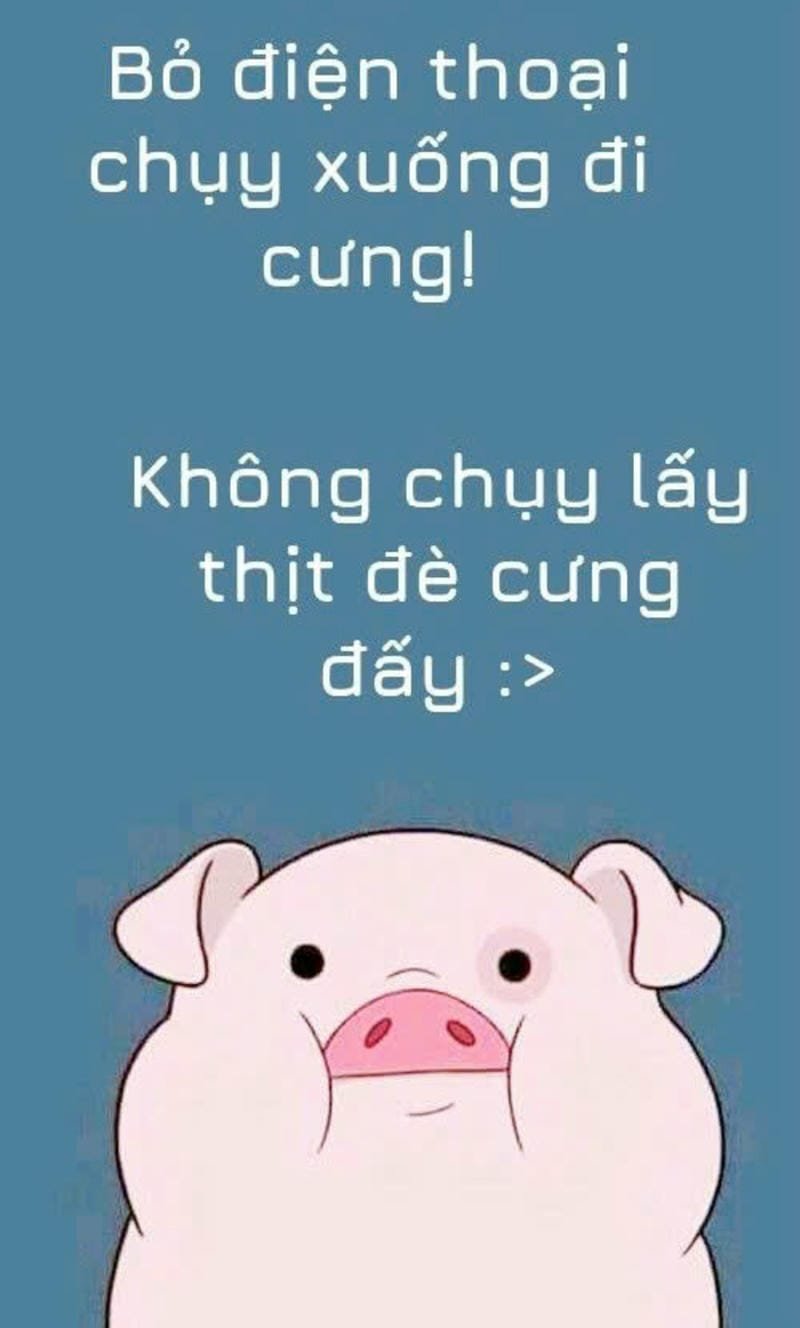 ảnh bỏ điện thoại tao xuống