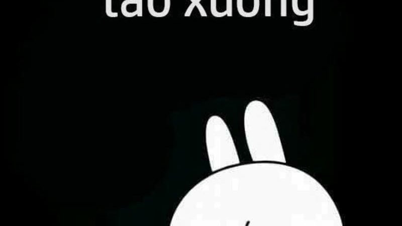 40+ Hình nền bỏ điện thoại tao xuống cực ngầu và hài hước