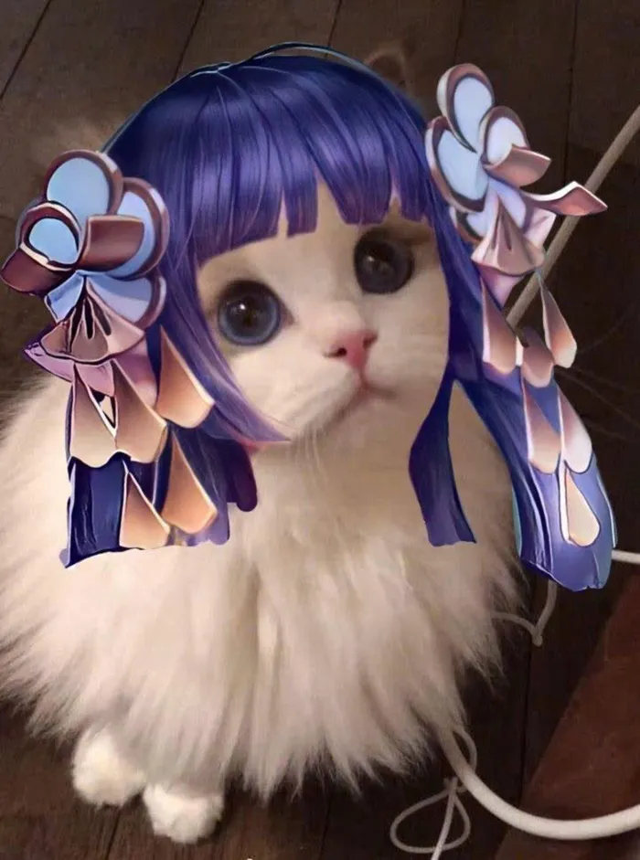 ảnh đại diện con mèo