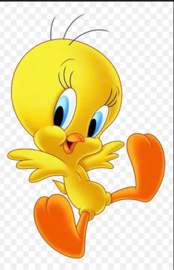 ảnh đại diện con vịt