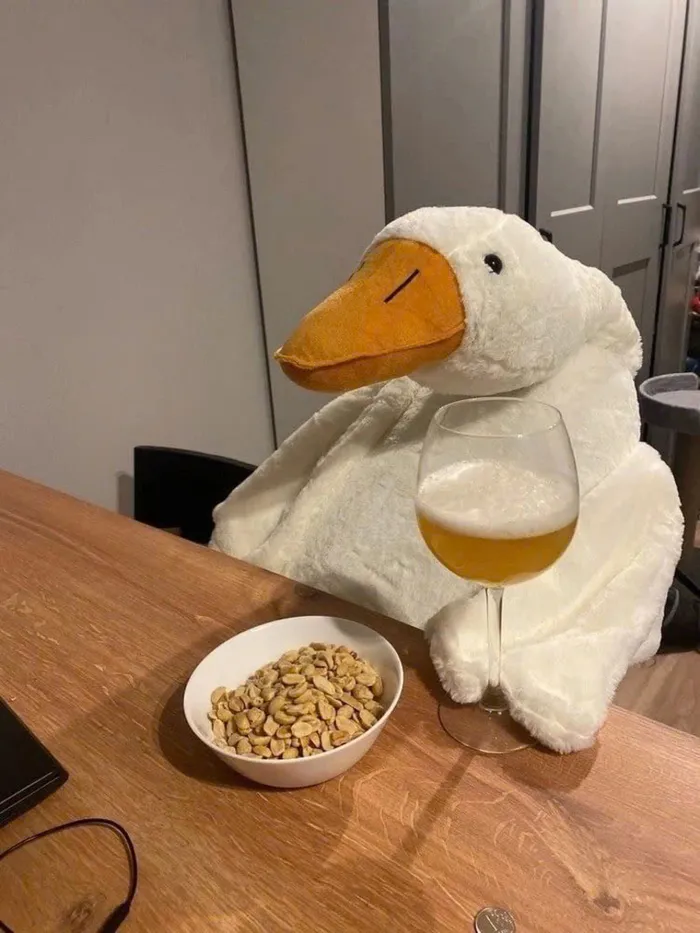 ảnh dễ thương cho người hướng nội