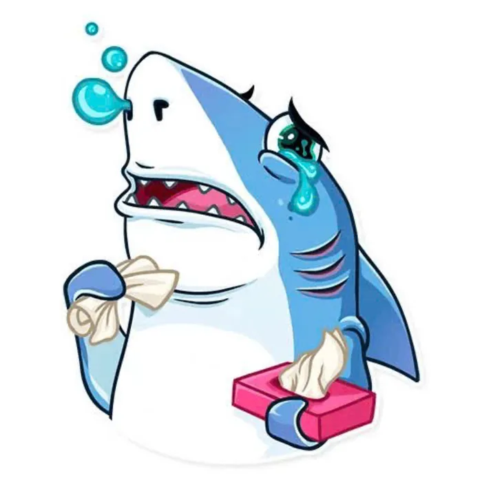 ảnh hình nền cá mập cute