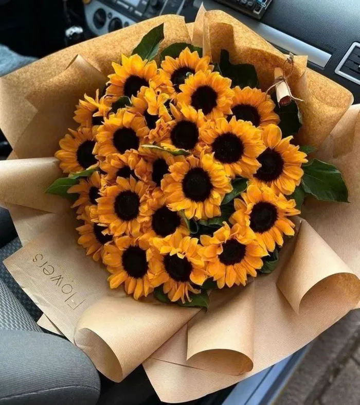 ảnh hoa hướng dương đẹp