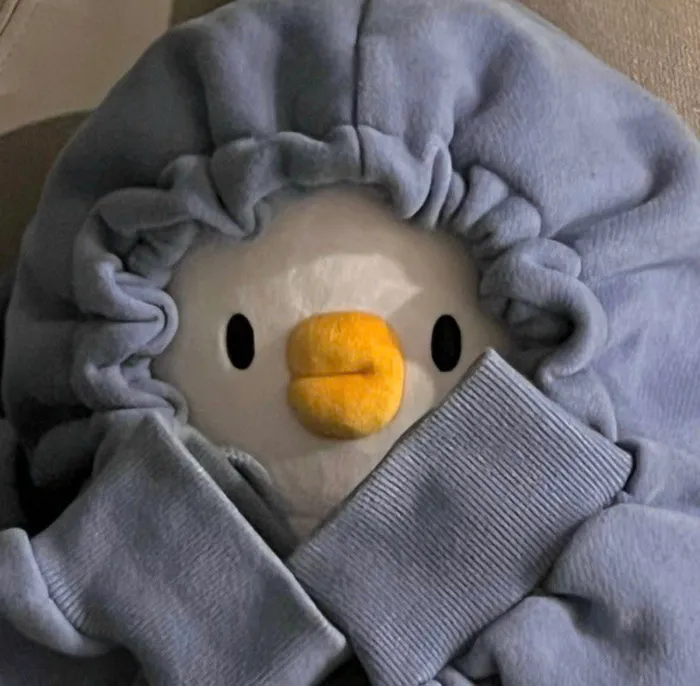 ảnh hướng nội