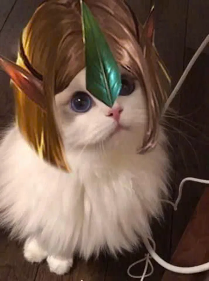 ảnh liên quân cute