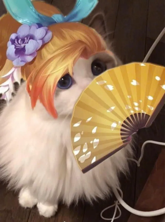 ảnh liên quân ngầu