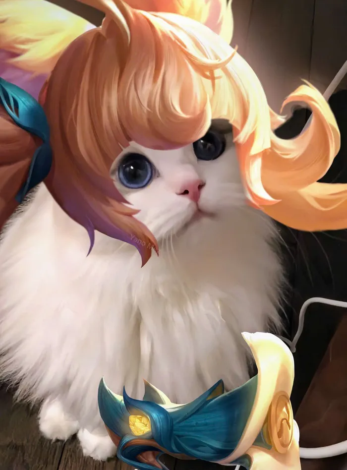 ảnh mèo liên quân