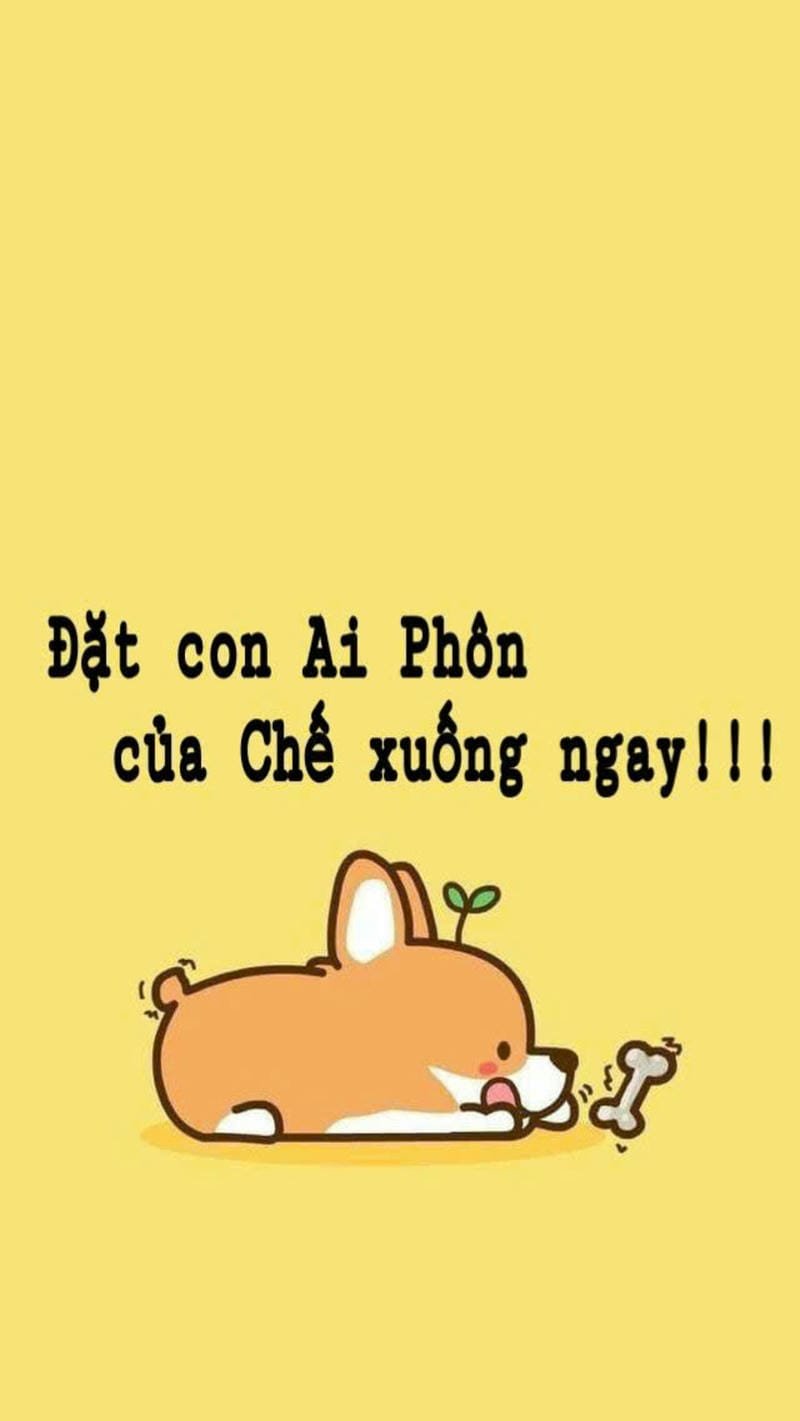 ảnh nền điện thoại bỏ điện thoại tao xuống