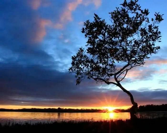 ảnh nền hoàng hôn