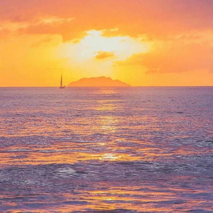 ảnh thiên nhiên chill