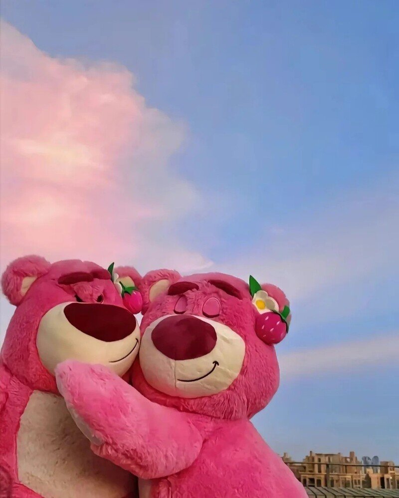 avatar đôi gấu dâu