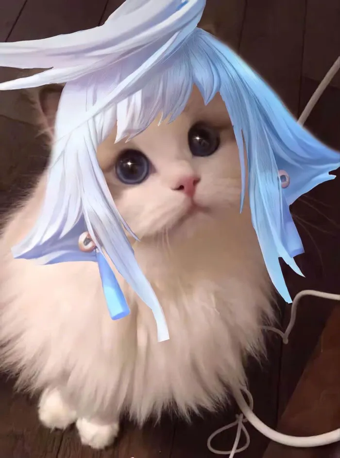 avatar mèo liên quân