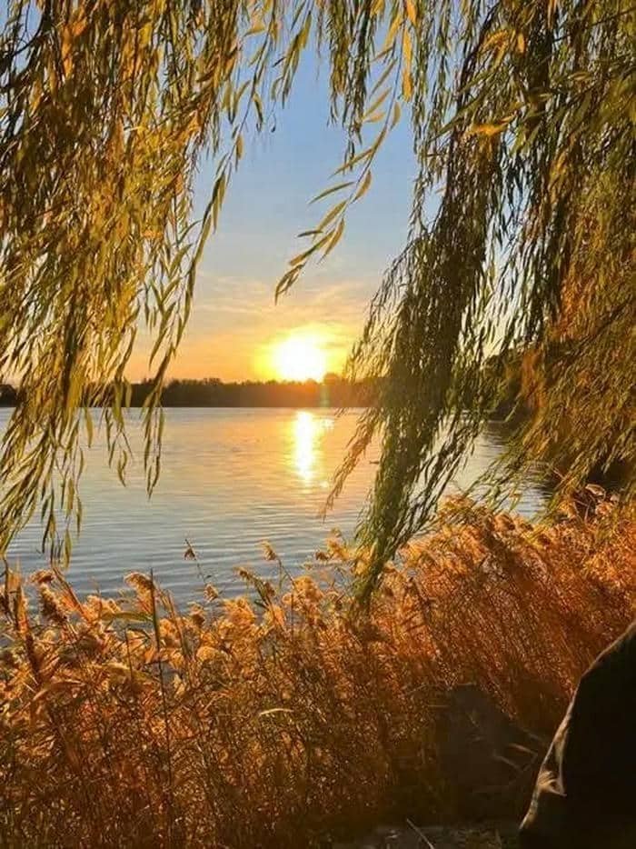 background hoàng hôn