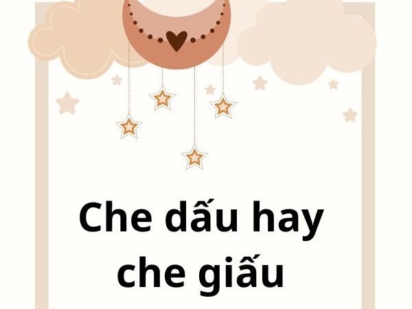 Che Dấu Hay Che Giấu: Từ Nào Là Đúng Và Cách Sử Dụng Chính Xác?