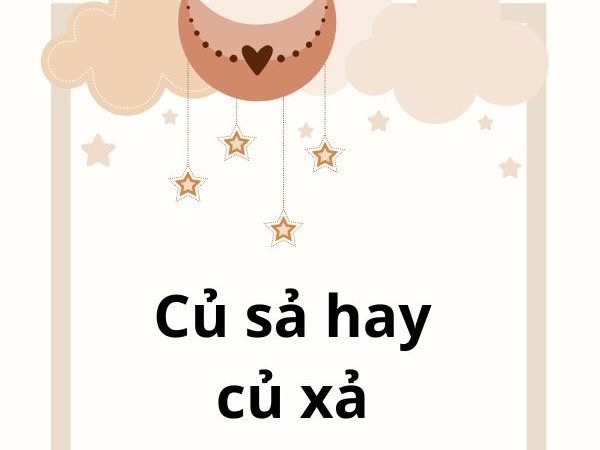 Củ Sả Hay Củ Xả: Từ Nào Là Đúng Và Cách Sử Dụng Chính Xác?