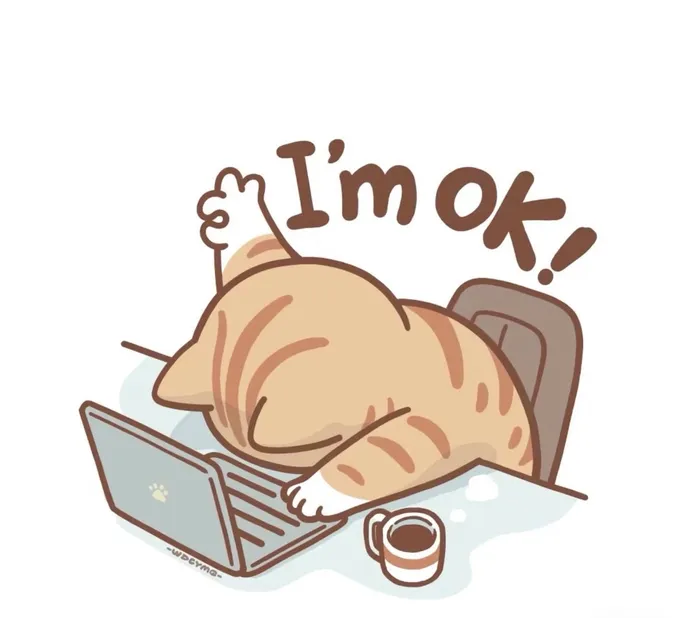 hình ảnh con mèo cute