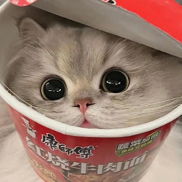hình ảnh đại diện zalo cute