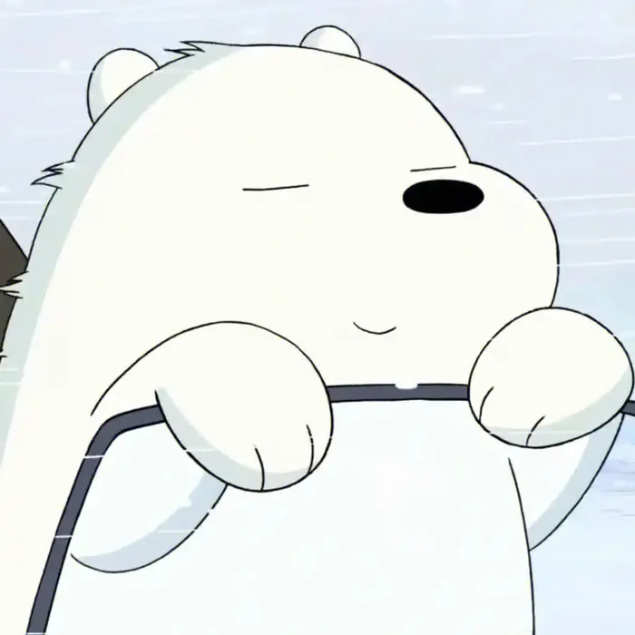 hình ảnh gấu cute