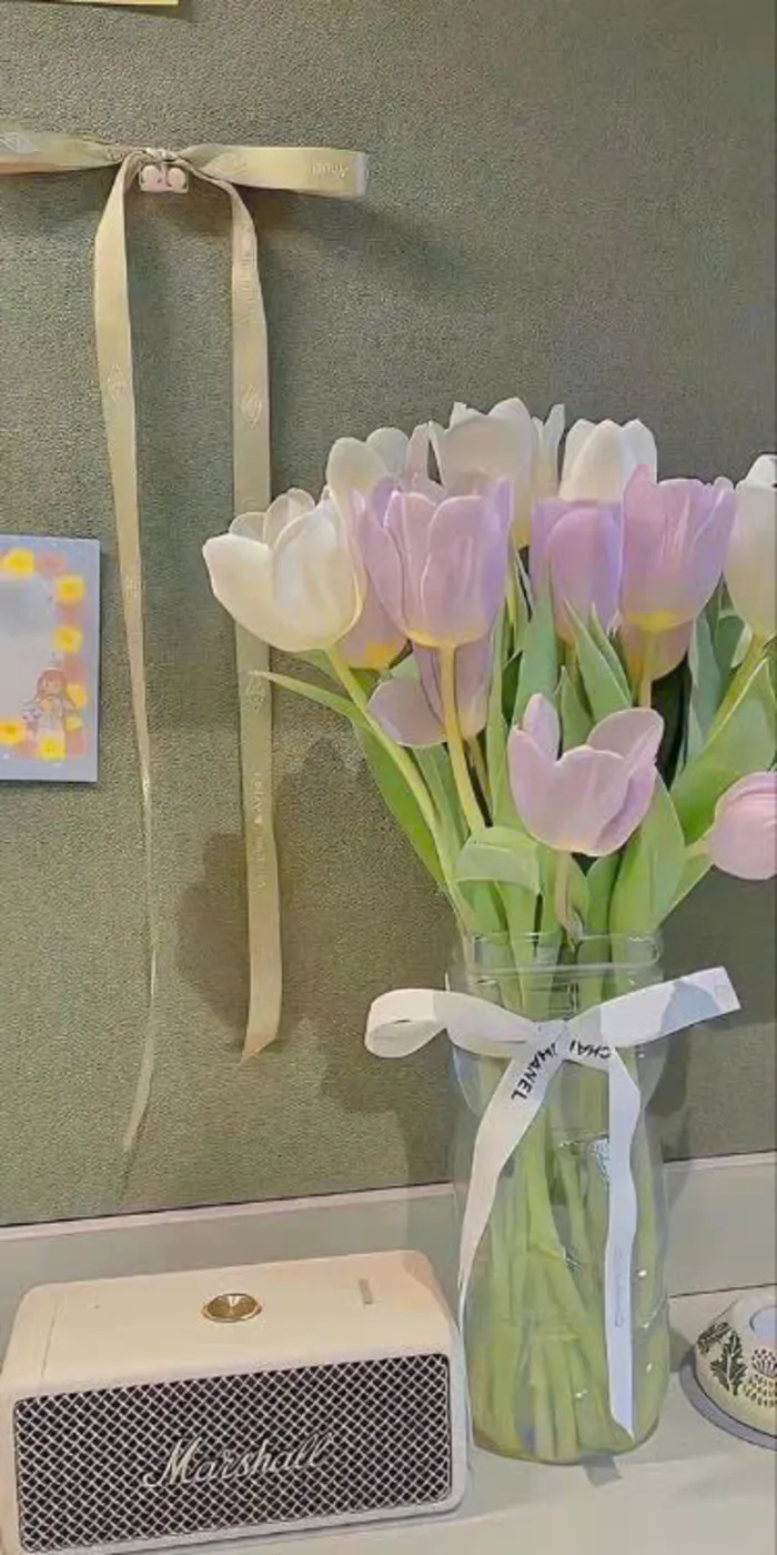 hình ảnh hoa tulip chill