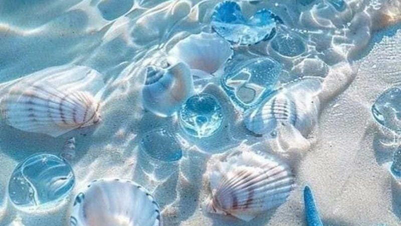 80+ Hình nền biển đẹp, chill cho điện thoại, máy tính