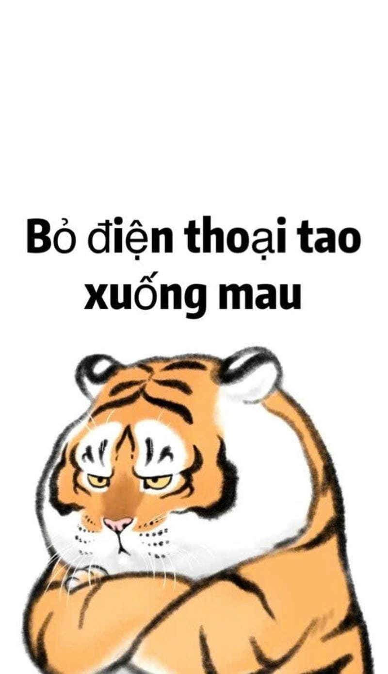 hình bỏ điện thoại tao xuống