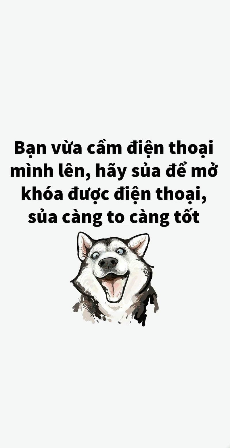hình nền bỏ điện thoại tao xuống