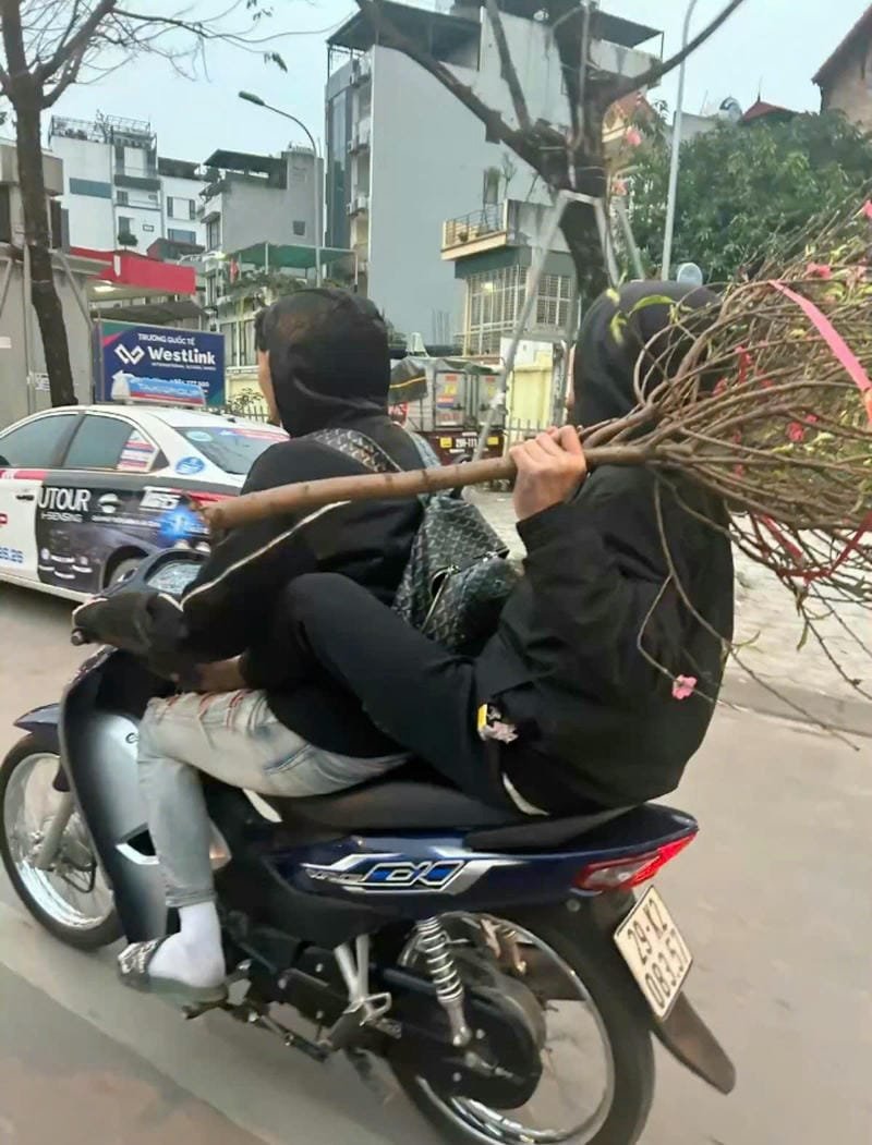 hình nền boy phố