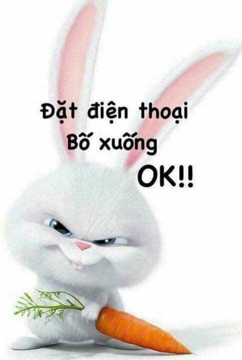 hình nền đẹp bỏ điện thoại tao xuống