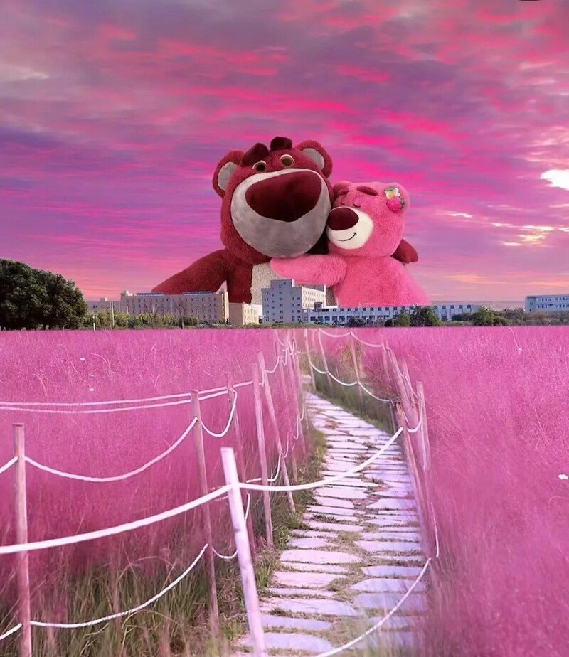 hình nền gấu dâu đẹp