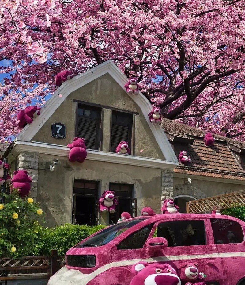 hình nền gấu lotso cute