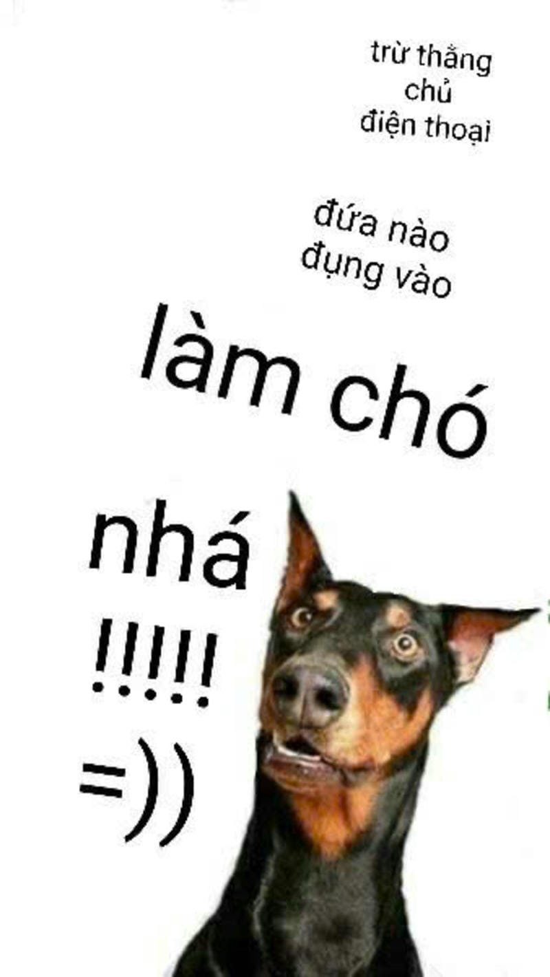 hình nền mày bỏ điện thoại tao xuống