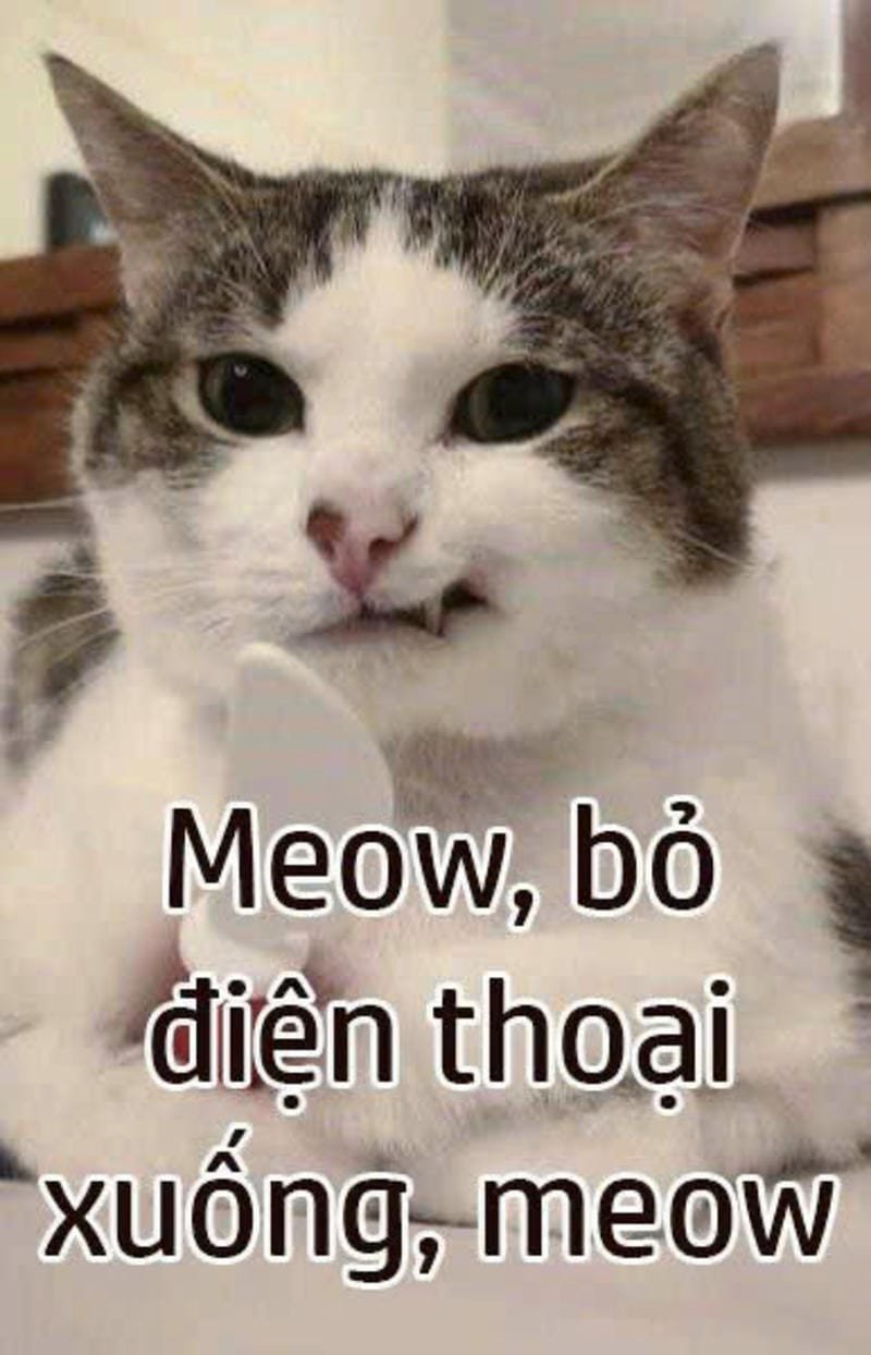 hình nền tao nhắc lại bỏ điện thoại tao xuống