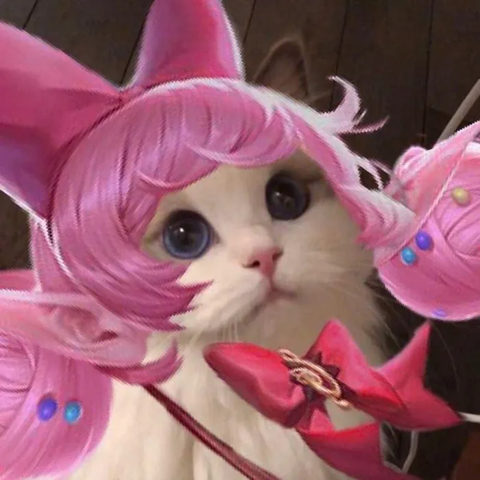 mèo liên quân allain