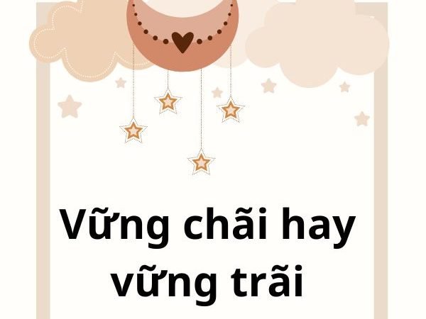 Vững Chãi Hay Vững Trãi: Từ Nào Là Đúng Và Cách Sử Dụng Chính Xác?