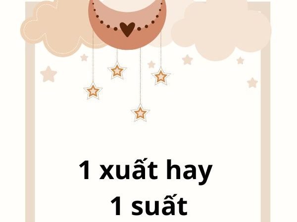 1 Xuất hay 1 Suất? Đâu Mới Là Cách Viết Đúng?