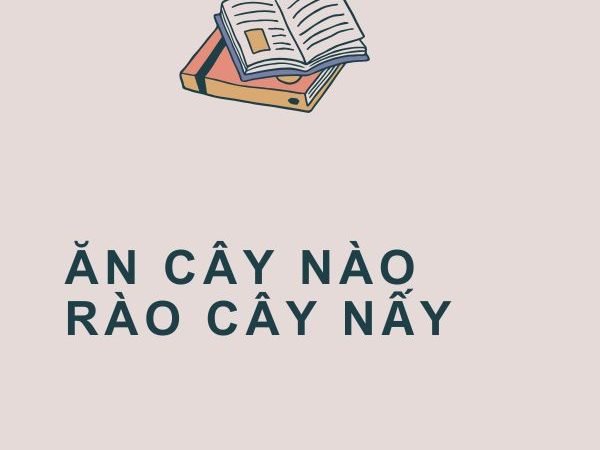 Ăn Cây Nào Rào Cây Nấy: Ý Nghĩa và Bài Học Từ Câu Tục Ngữ