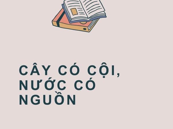 Giải nghĩa câu “Cây có cội, nước có nguồn”