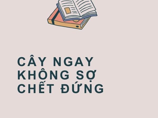 Giải nghĩa câu “Cây ngay không sợ chết đứng”