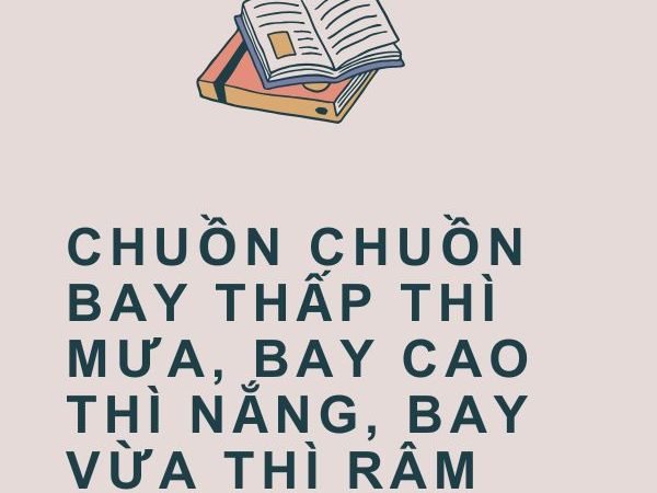 Giải Nghĩa Câu Tục Ngữ “Chuồn Chuồn Bay Thấp Thì Mưa, Bay Cao Thì Nắng, Bay Vừa Thì Râm”