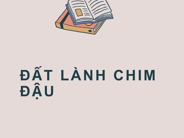 Giải nghĩa câu “Đất lành chim đậu” dễ hiểu nhất
