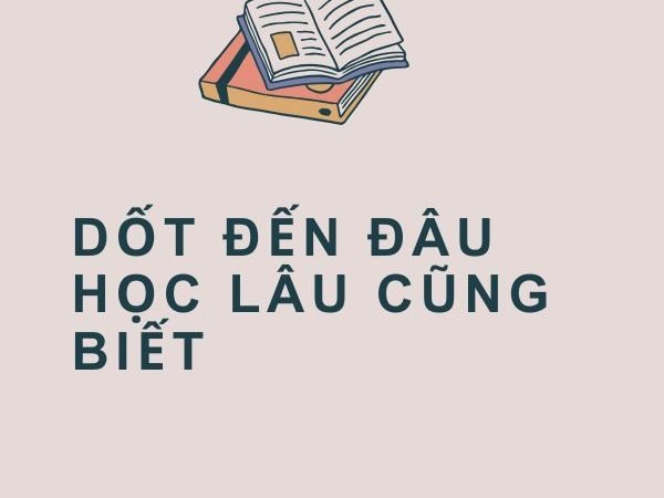Giải nghĩa câu “Dốt đến đâu, học lâu cũng biết”