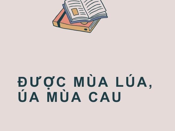 Giải Nghĩa Câu Tục Ngữ “Được Mùa Lúa, Úa Mùa Cau”
