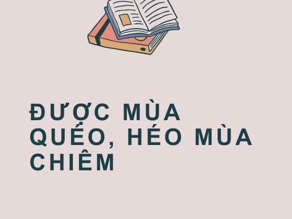 Giải Nghĩa Câu Tục Ngữ “Được Mùa Quéo, Héo Mùa Chiêm”